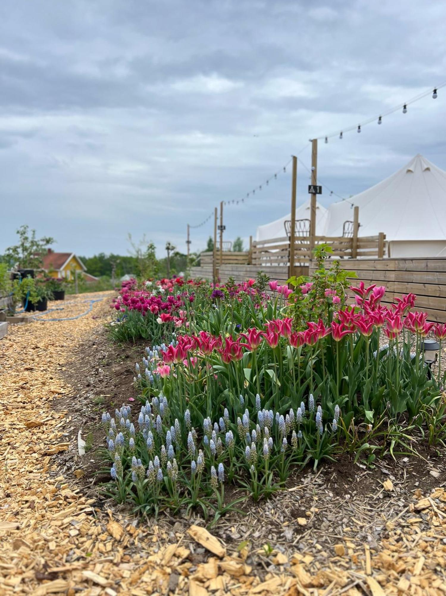 Hotel Vaettervy Glamping Habo Zewnętrze zdjęcie