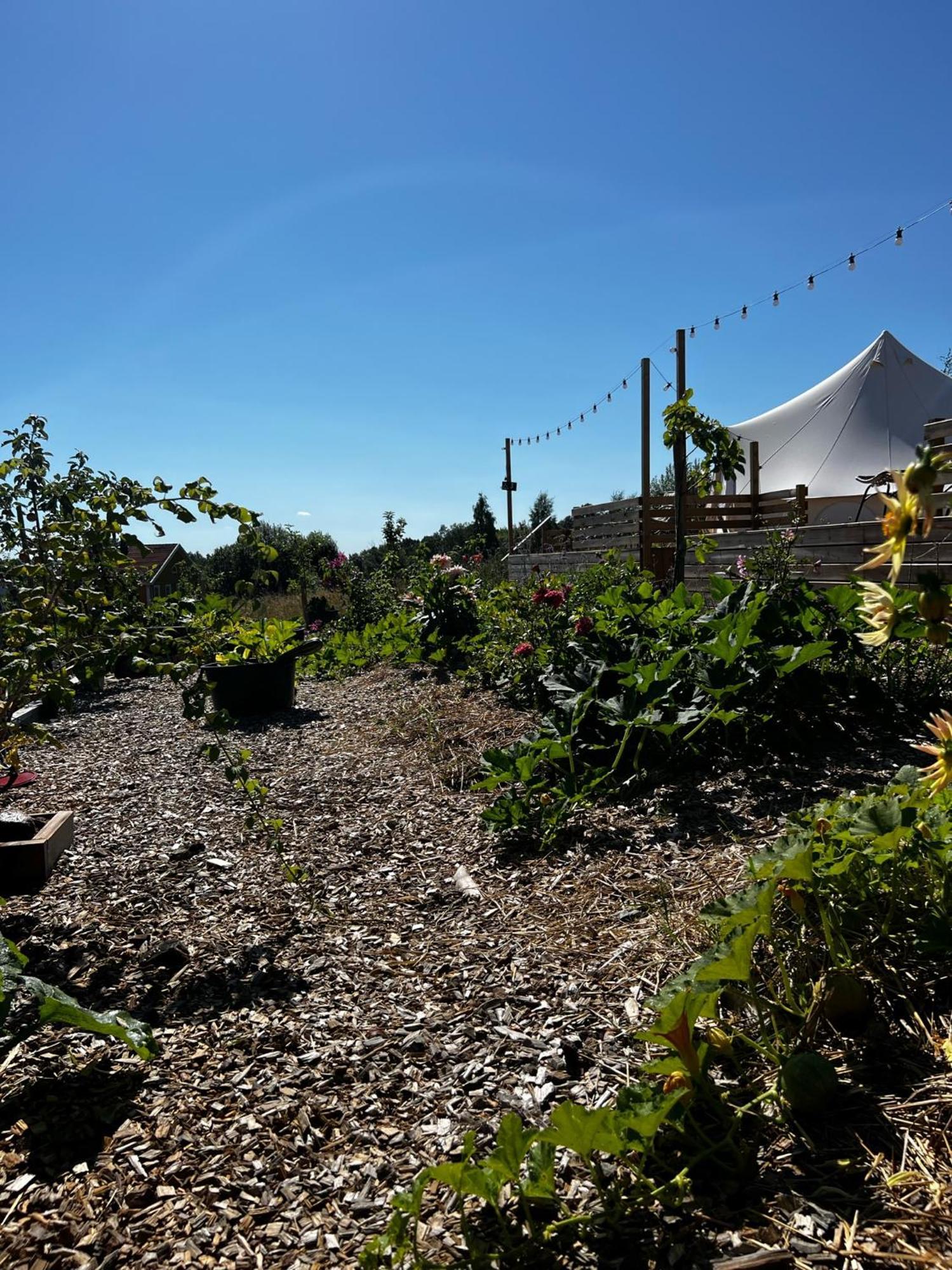 Hotel Vaettervy Glamping Habo Zewnętrze zdjęcie