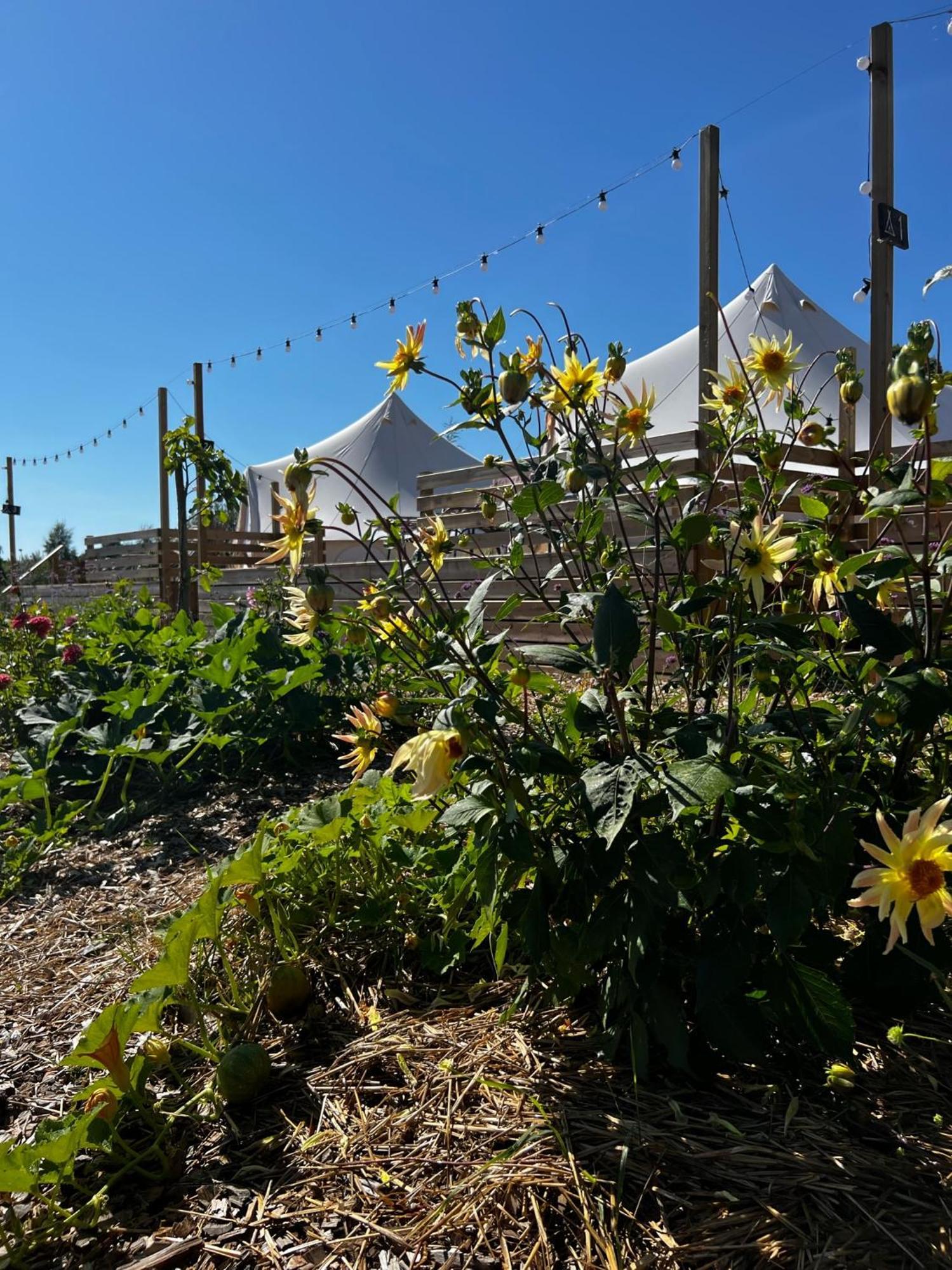 Hotel Vaettervy Glamping Habo Zewnętrze zdjęcie